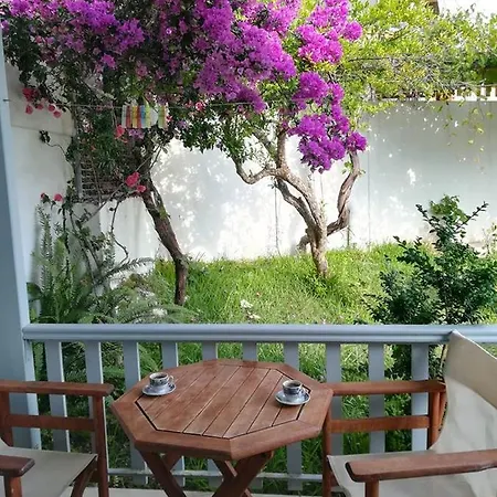 Guest house Elena *